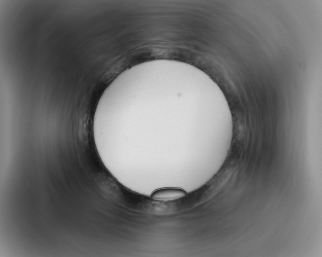 X0000086900275200705141648