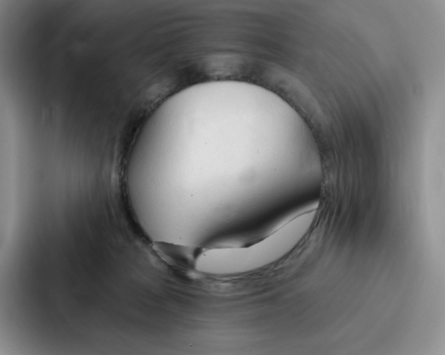 X0000086900277200705141648