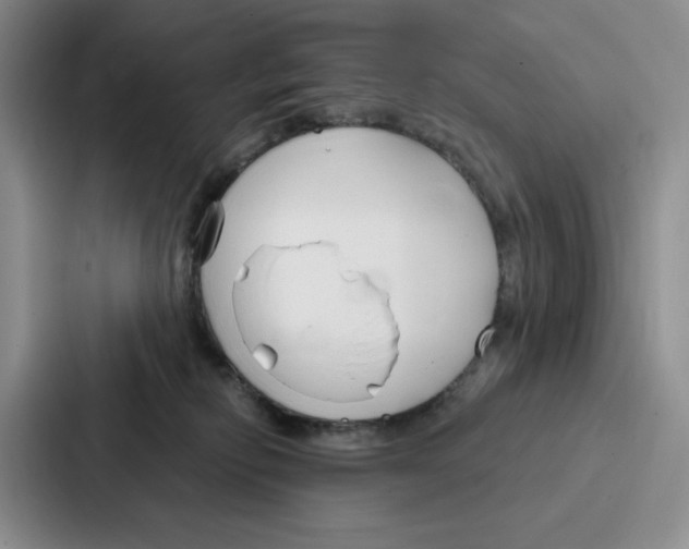 X0000086900278200705141648