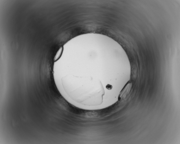 X0000086900279200705141648