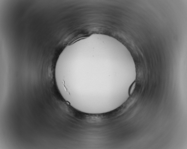 X0000086900282200705141648