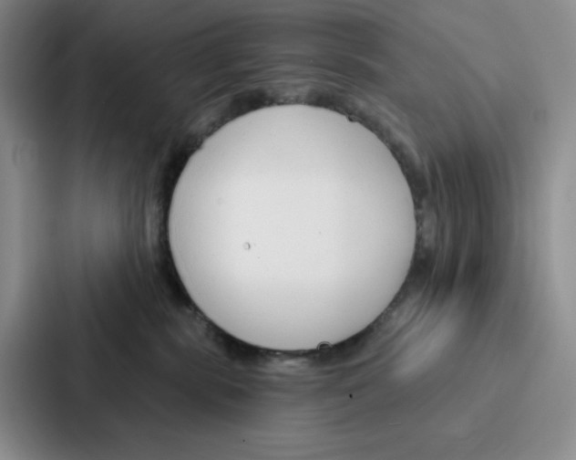 X0000086900283200705141648