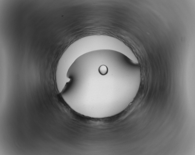 X0000086900284200705141648