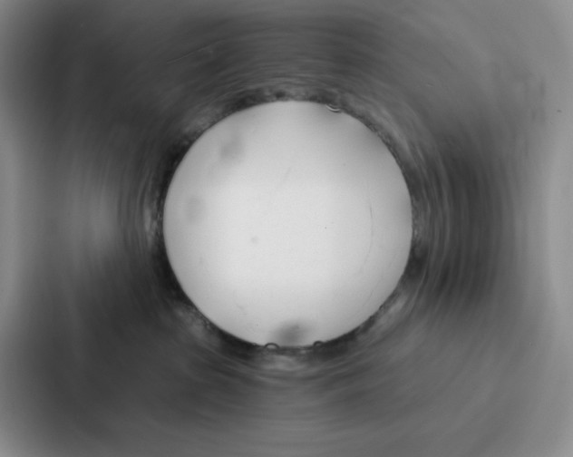 X0000086900285200705141648