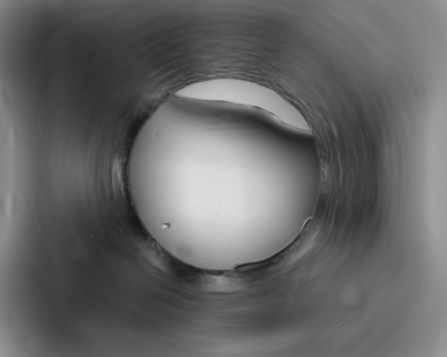 X0000086900286200705141648