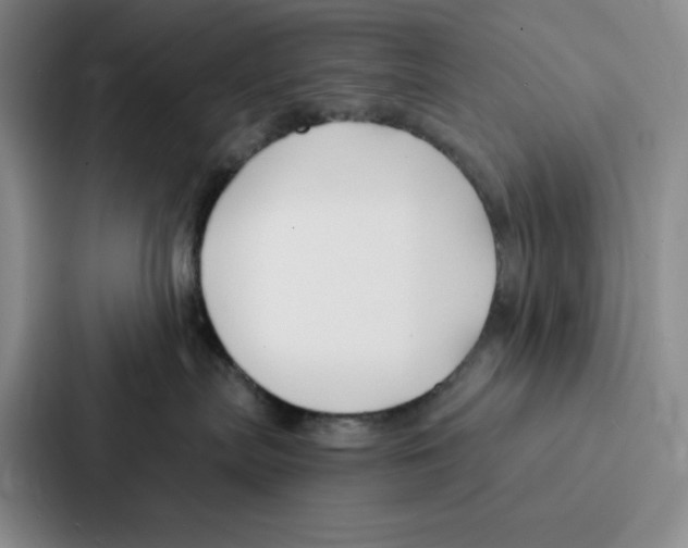 X0000086900287200705141649