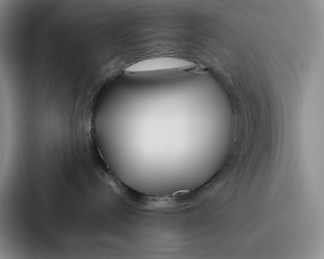 X0000086900288200705141649