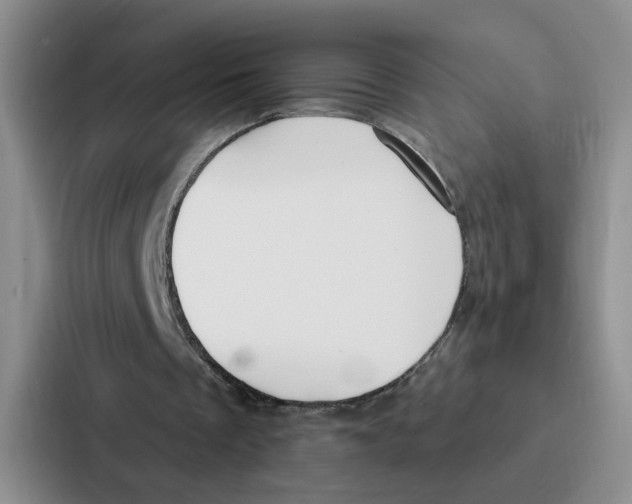 X0000086900289200705141648