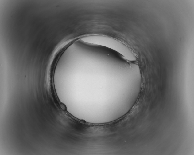 X0000086900294200705141648