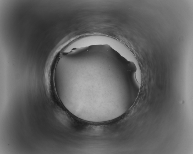 X0000086900295200705141648