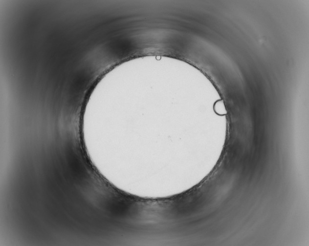 X0000086900297200705141648