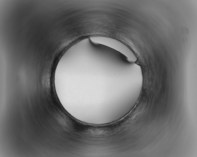 X0000086900299200705141648