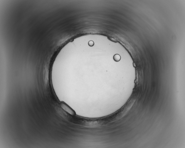 X0000086900301200705141648