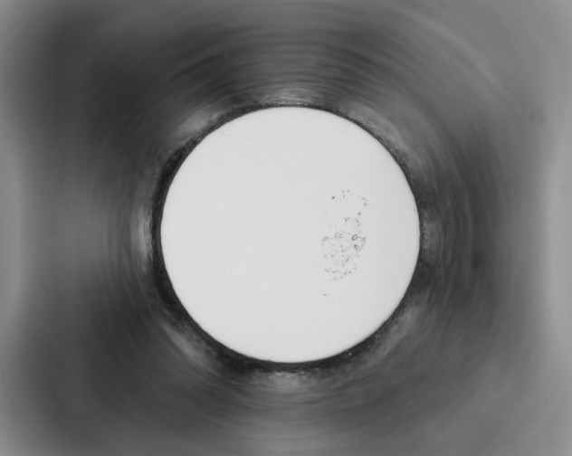 X0000086900302200705141648