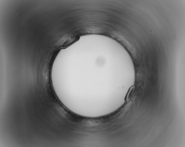 X0000086900305200705141648