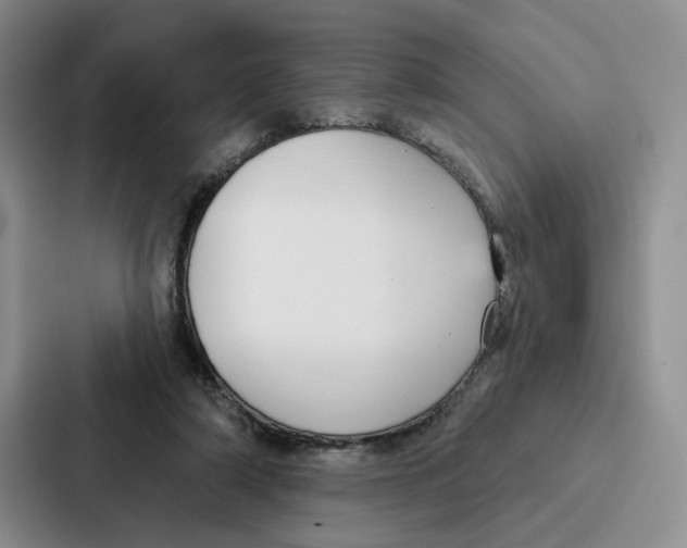 X0000086900306200705141648