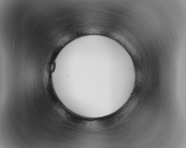 X0000086900309200705141648