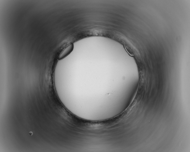 X0000086900313200705141648