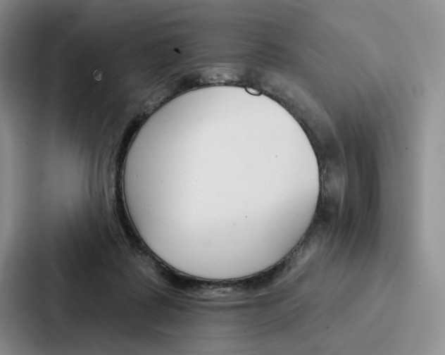 X0000086900315200705141648