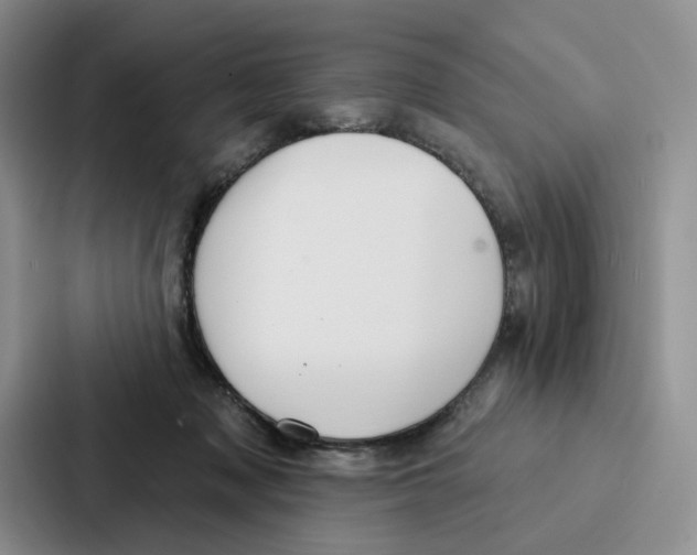 X0000086900317200705141648