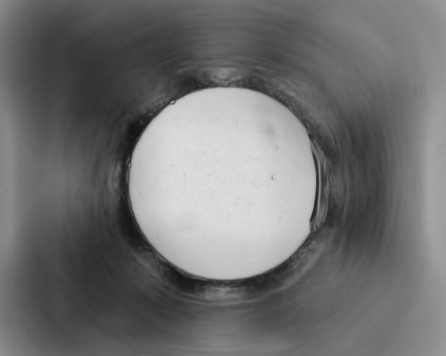 X0000086900319200705141648