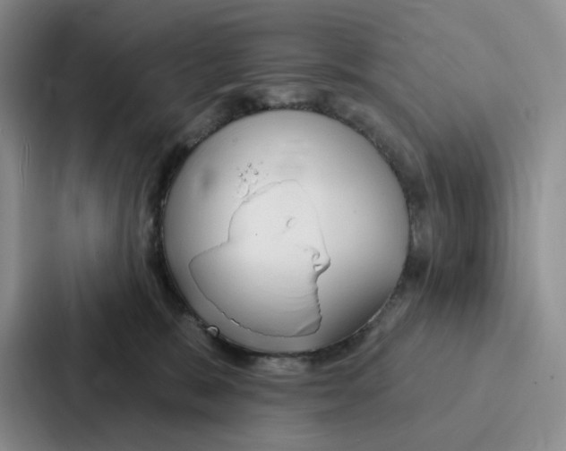 X0000086900327200705141647