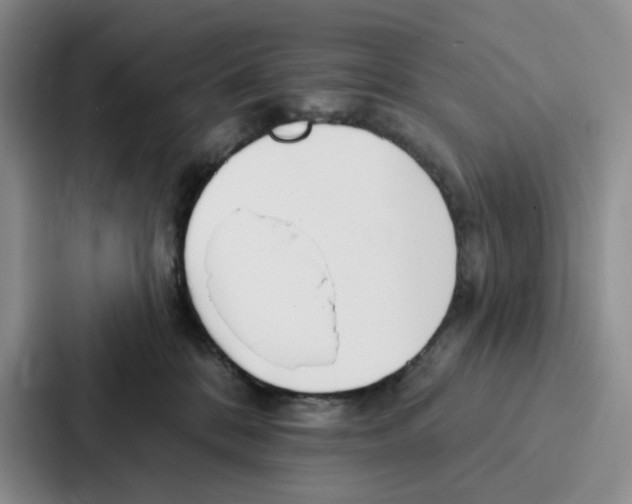 X0000086900328200705141647