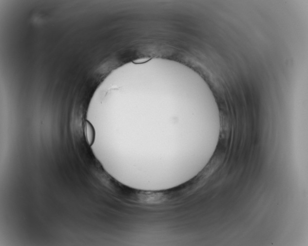 X0000086900334200705141647