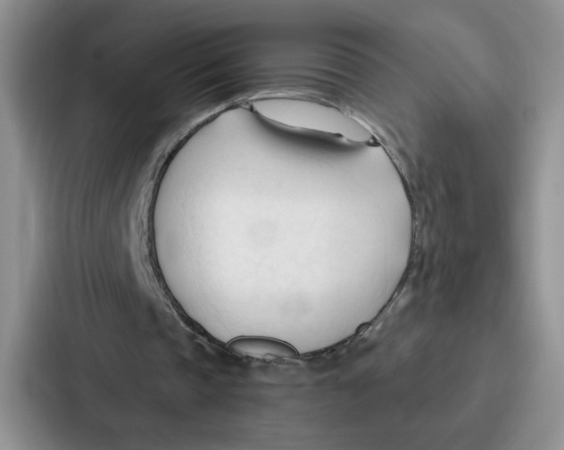 X0000086900337200705141647