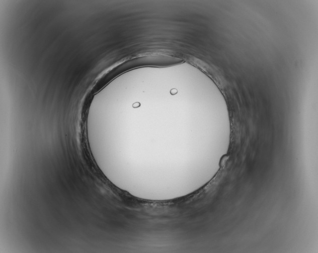 X0000086900338200705141647