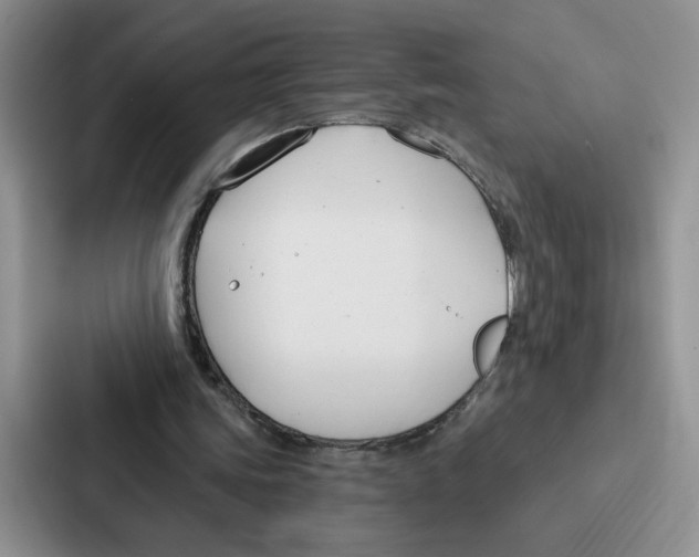 X0000086900339200705141647