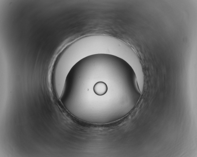 X0000086900340200705141647