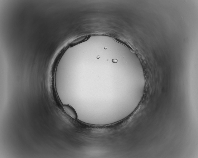 X0000086900342200705141647