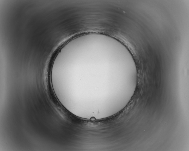 X0000086900346200705141647