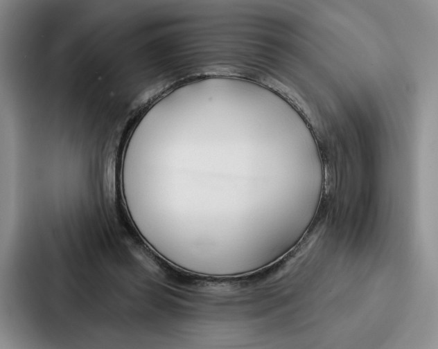 X0000086900349200705141647