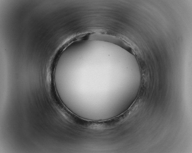 X0000086900350200705141647