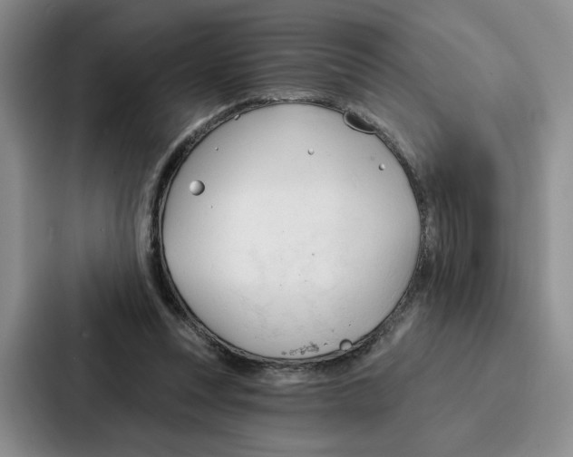 X0000086900351200705141647