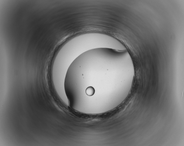 X0000086900352200705141647