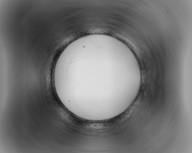 X0000086900353200705141647