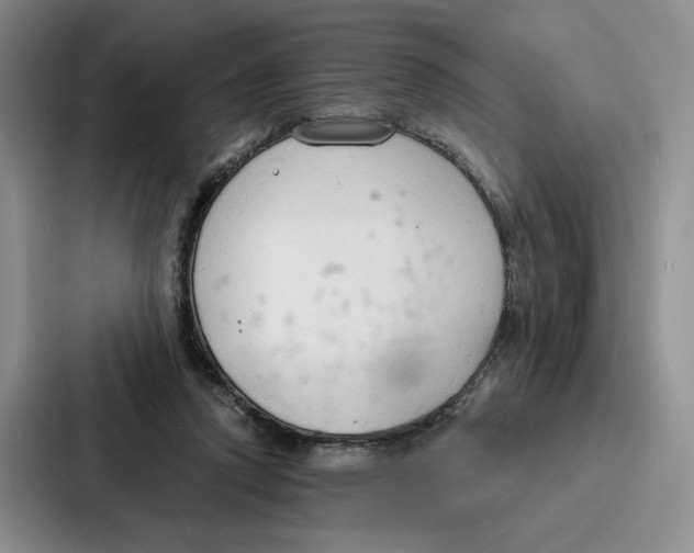 X0000086900354200705141647