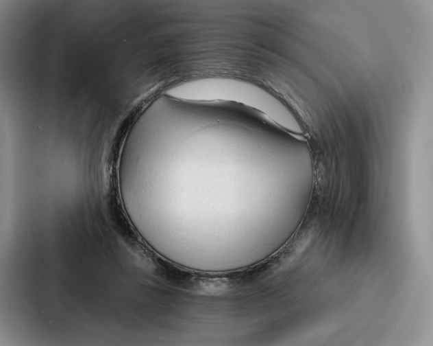 X0000086900355200705141647