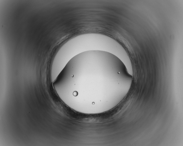 X0000086900356200705141647