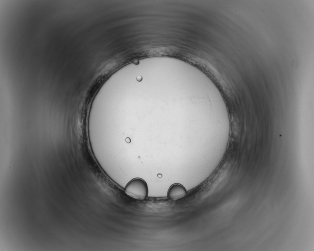 X0000086900357200705141647