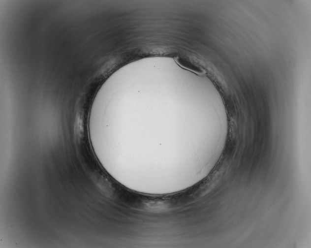 X0000086900358200705141647