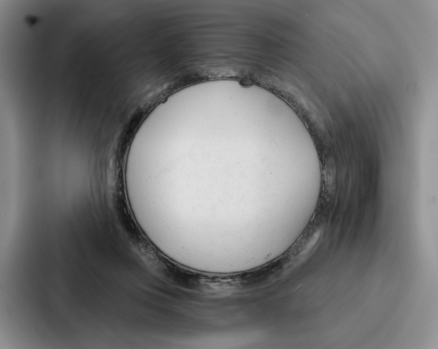 X0000086900359200705141647