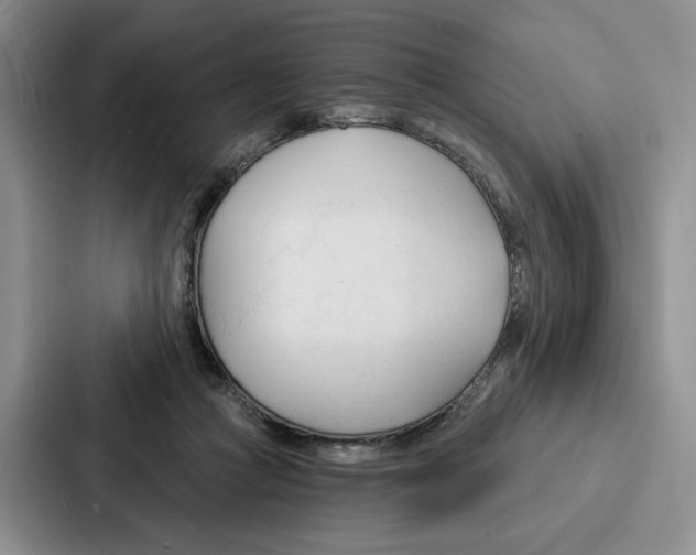 X0000086900361200705141647