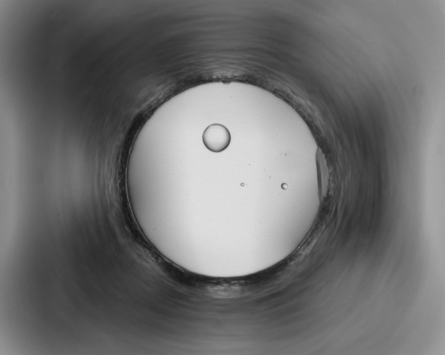 X0000086900362200705141647