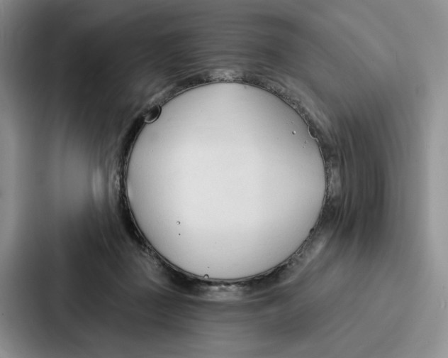 X0000086900363200705141647