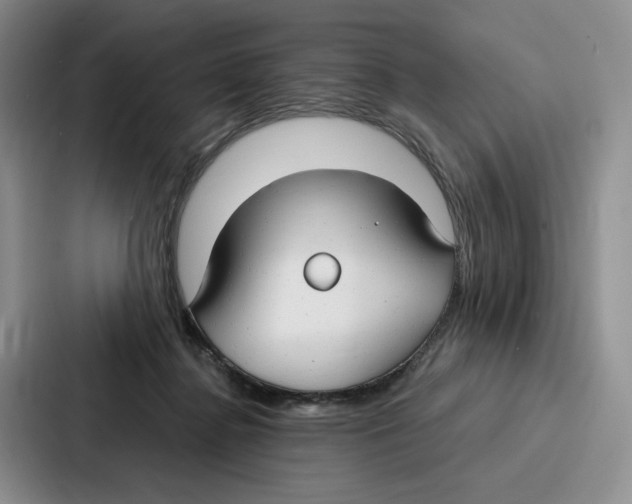 X0000086900364200705141647