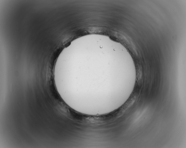 X0000086900367200705141647